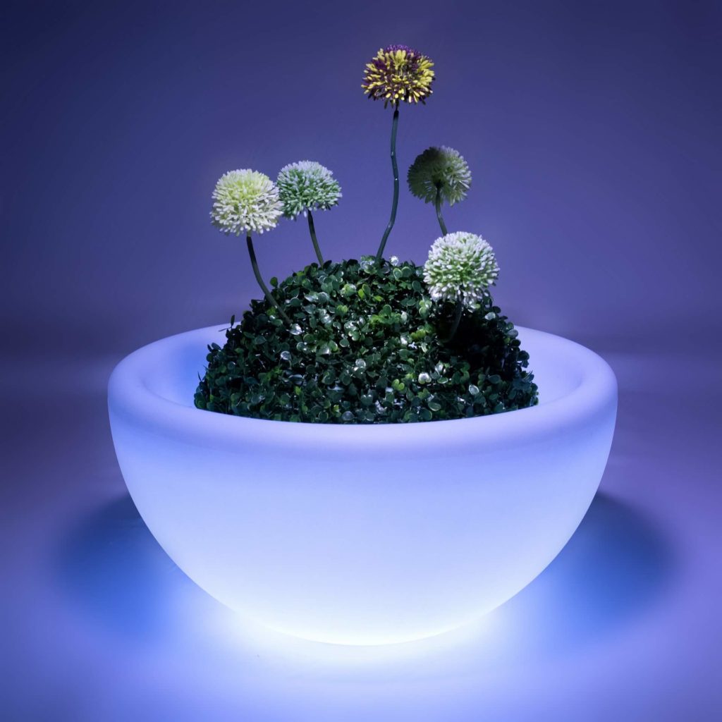 Светящаяся ваза с растениями